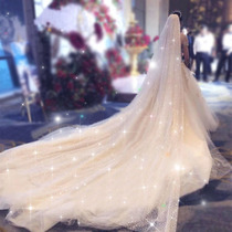Tiktok, bride's veil, glistening yarn, photo, props, long hair, long tail, Korean wedding veil