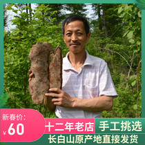 Authentic Changbai Mountain wild spot brown hole bacteria layer decubitus plaque Brown Ganoderma lucidum 60kg can be cut for free