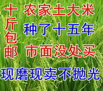 Pudding Mizhuang Northeast Rice 2019 New Rice Soil Rice Pearl Rice No Polishing No Fragrance 10 Catties