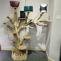 Light luxury bag dead tree frame Net red same window cat climbing frame solid wood trunk creative display rack log coat rack