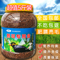 liao ge food liao ge feed molting period breeding fei biao bright hair resistant barrel 5kg barreled liao ge food feed