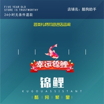  Lucky draw Koi has a chance to win a private jet Cool dog starry live broadcast Head fish Yue Longmen love milk tea