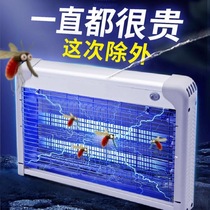 IED shop with wall sticking flies mosquitoes just swept mosquito lamp shock formula artifact restaurant hotel capture