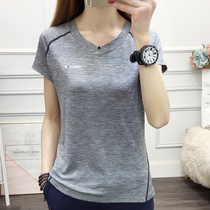 Quick-drying clothes female spring and summer outdoor sports fitness running quick-drying V-collar short sleeve T-shirt stretch like large size half-sleeve shirt