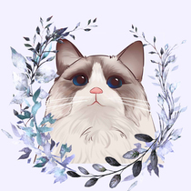 Q version head portrait custom cartoon character Cat cartoon logo design dog pet portrait generation picture hand-painted