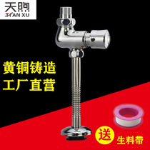 All copper body dark urine pool flushing valve handpress toilet push bucket flush valve delay valve switch