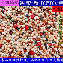Pigeon grain A- class young pigeon grain no corn pigeon grain bird food health care sand pigeon feed pigeon grain 50kg