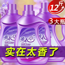 Lavender perfume fragrance Laundry detergent Fragrance Long-lasting anti-mite anti-mite sterilization Promotional combination package Household affordable package