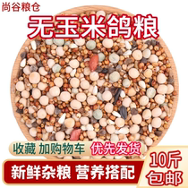 10 catty of corn nutrient material dove grain feed letter pigeon viewing pigeon dove young pigeon to pigeon racing pigeon race dove new grain
