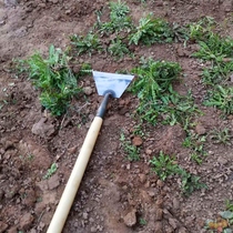  Shovel grass artifact Household weeding tools Agricultural small hoe planting vegetables weeding shovel pushing grass steel hoe knife weeding hoe