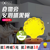 Fruit fly trap paste fruit fly paste strong stick home EXPEST to kill small flying insects artifact kitchen flies