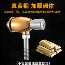 All copper body open and concealed urinal flush valve hand-pressed toilet urinal flush valve delay valve switch