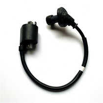 Suitable for Suzuki new Neptune high voltage package UA125T-A ignition coil Denon Star UA125T-3 high voltage cap