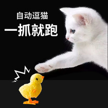 Cat toys cat toys relief artifact self-Hi cat stick simulation plush clockwork chickens kittens kittens cats pet supplies