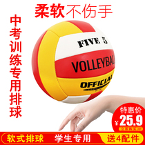 No 5 volleyball test students special children primary school students junior high school training competition Beginner soft inflatable mens and womens row