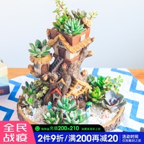Meat Meat Plant Large Caliber Multimeat Plant Flower Pot Balcony Decoration Creative Fields Garden Microscape Combined Parquet Florator
