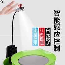 Bait Pan Light Night Fishing on Bait Light Clip Type of Bait Light Bait Light Fishing rod Bait Light Fishing Light Phishing Lights Charge