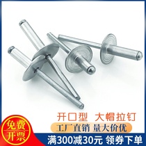 Aluminum blind rivet decoration nail open round head aluminum pull nail cap pull nail 4 8*10-12-14-16-20
