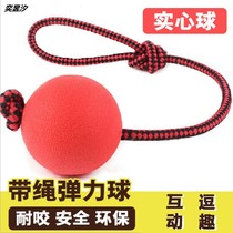 Dog interactive toy bite resistant molars large dog golden retriever Golden Teddy puppies solid toy ball knot pet supplies