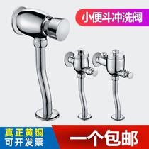 Fine delay flush valve hand press self-closing flush valve toilet urinal flush water stop valve