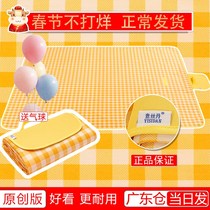 Picnic mat Outdoor waterproof tide thickened cloth ins wind cooking portable foldable spring outing seaside beach mat