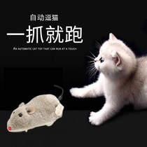 Cat toy mouse clockwork will move plush cat toy simulation electric remote control mouse kitten self-hi cat