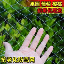 Nylon Net anti-Sparrow net Orchard anti-bird net fruit tree Cherry fish pond breeding grape bird-proof Sky Net wire mesh