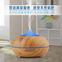 Mini ornaments creative air humidifier fashion generous home dust removal ultrasonic humidifier car decoration