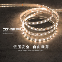 Sidon Lighting Low Voltage 12v Front 3528 Patch Light Strip 60 Beaded CEGB5050 2835 Waterproof Low Voltage Light Strip