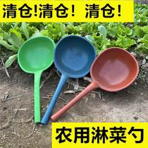 Fecal spoon powder powder powder powder powder powder powder powder powder powder powder powder and powder powder powder and powder spoon