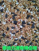 Race power pigeon grain no corn no pea clear pigeon food pigeon feed pigeon military pigeon bird food 45kg