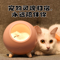 Pet sacrifice cat Changming lamp head seven nostalgia memorial urn casket paper money burning paper dog death Memorial supplies