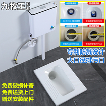 High-end toilet squat toilet potty urinal deodorant ceramic stool squat pit flushing water tank complete set