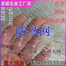 Household nylon line Net bird net protection Bird single Net anti fish protection chicken pigeons