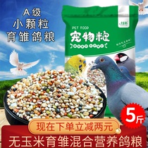 Special feed for young pigeons No corn small particles pigeon brood pigeons grain pigeons pigeons pigeons feed pigeons