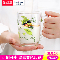 Lemeiya glass water cup female summer home handle oatmeal milk Cup couple water cup glass cup glass cup