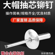 Big hat brim aluminum blind rivet Big Head pull nail car rivet decoration nail aluminum pull nail M4 M5 * 35