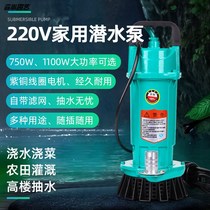 Brushless intelligent DC submersible pump 48v60v72v universal large flow electric battery car pumping pump pumping machine