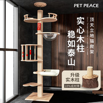 Solid wood Tongtianzhu to the top of the sky does not occupy a large cat cat tree cat litter one cat climbing shelf plus high-rise