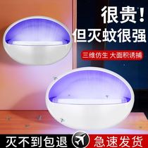 Sticky Trap of the Fly Lamp Restaurant Hotel Shops with Exorcie Trapping Fly Lamp Disenchanting God HANGING WALL-STYLE MOSQUITO-BORNE MOSQUITO-BORNE MOSQUITO