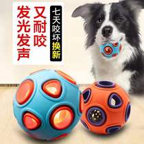 Pet molar toy plum blossom foot dog resistant to bite big and small dog Teddy golden hair training supplies glowing sound ball