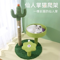 Cat climbing small family type cactus small size not covered with cat and cat tree integrated sisal cat grabbing pole cat toy self-hi
