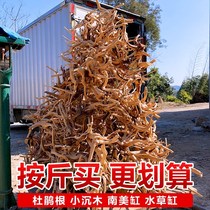 Natural sunken wood rhododendron small root Moss tree grass tank landscaping material landscape Wood fish tank decoration Brazilian Wood