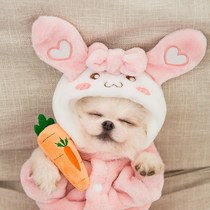 Net red dog clothes winter Teddy than bear Bomei cat small dog autumn winter pet four-legged clothing warm