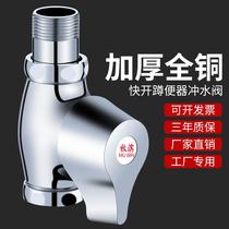 Copper squat toilet flush valve hand press water type stool 665365 flush valve public toilet toilet squatter foot flush
