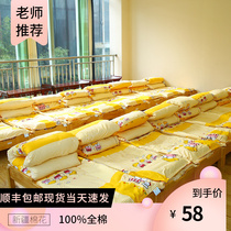 Kindergarten small bed three-piece set ready to enter the kindergarten quilt bed sheet quilt cover quilt core childrens nap special bedding baby