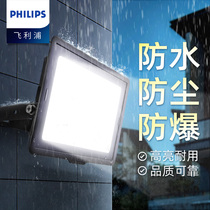 Philips led floodlight spotlight outdoor lighting super bright waterproof outdoor construction site projection light searchlight glare