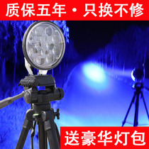 Xenon lamp fishing light Blu-ray Carp Light High Power Night Fishing Ultra Bright LED Light 12V Hernia Yellow White Warm Light Seducal