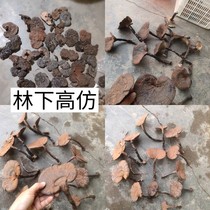Daily special ) Changbai Mountain wild forest under Ganoderma full black Ganocca slice of purple Lingche 250 g