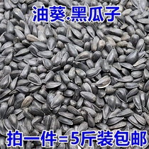 Raw black pearl small melon seeds Sunflower seeds oil sunflower seeds Parrot bird food Hamster snack Bird food Pigeon food 5 pounds